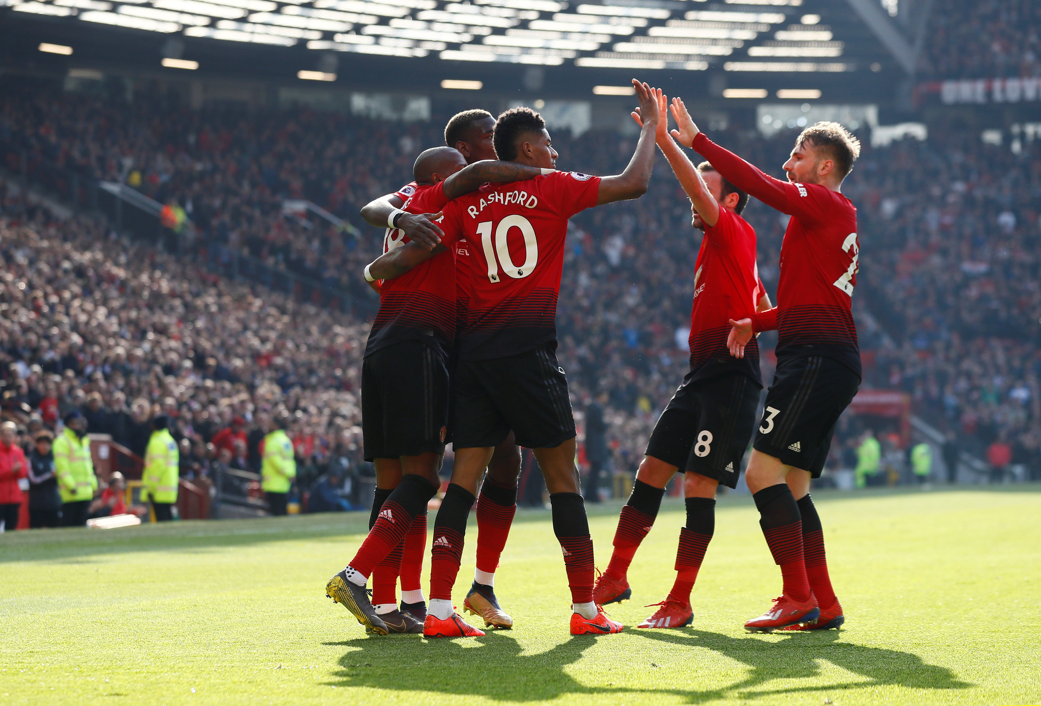 的情感纽带 的情感纽带