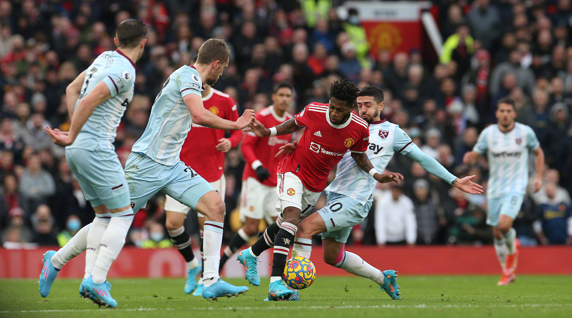 化的道路上 化的道路上